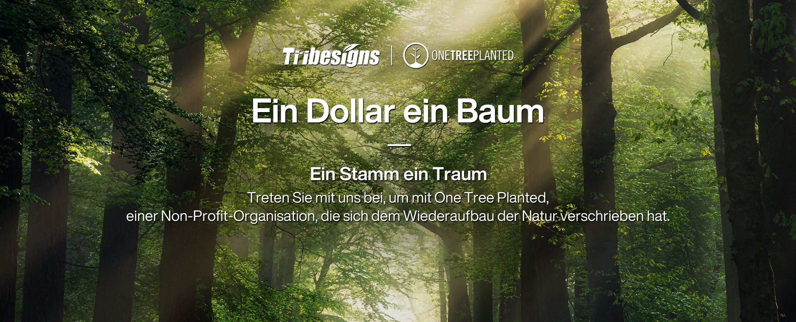 Tribesigns pflanzte im Rahmen einer Baumpflanzungs-Renovierungspartnerschaft 19.000 Bäume